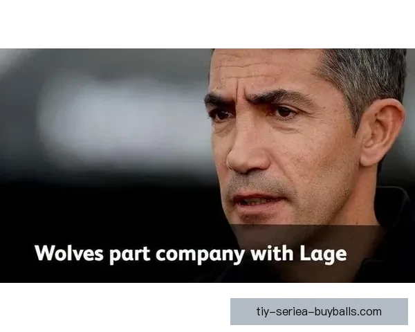 史蒂夫布尔称狼队延续势头可期